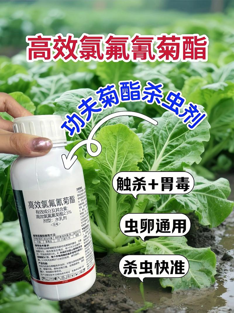 毕节代生中心:农药对供卵代生妈妈的危害